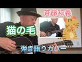 猫の毛/斉藤和義弾き語りカバー
