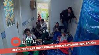 Metin Tekin'ler Boya Kokusundan Bayılırsa 283.  Resimi