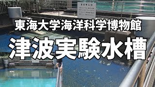 東海大学海洋科学博物館 津波実験水槽 シミュレーション中映像