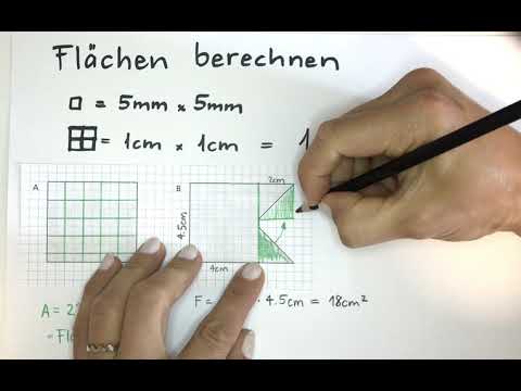 Video: Was ist das Rasterquadrat?