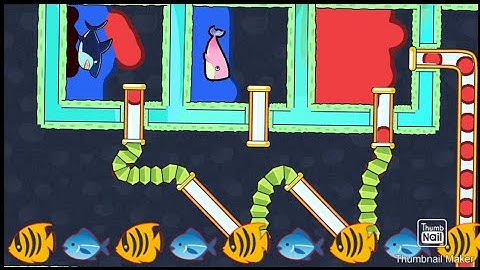 Save the Fish #sup564#savethefish 