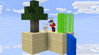 100 GÜNDE SKYBLOCKTAN KAÇIŞ #GÜN 40 - Minecraft