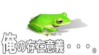 ゆっくり実況プレイ　カエルの存在意義・・・。　ヴァルハラキューブ
