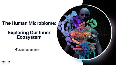 The Human Microbiome: Exploring Our Inner Ecosystem