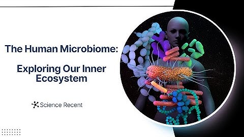 The Human Microbiome: Exploring Our Inner Ecosystem