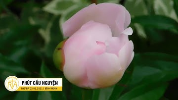 Phút Cầu Nguyện, Thứ Ba 05/01/2021: Dám Thay Đổi