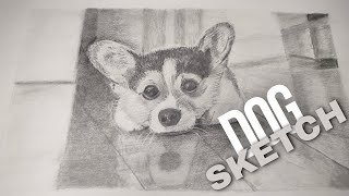 Draw Cute Dog | How to Sketch a Cute Dog