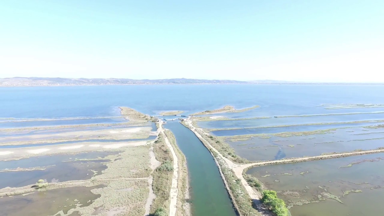 Divjaka Albania super video DRONE 2