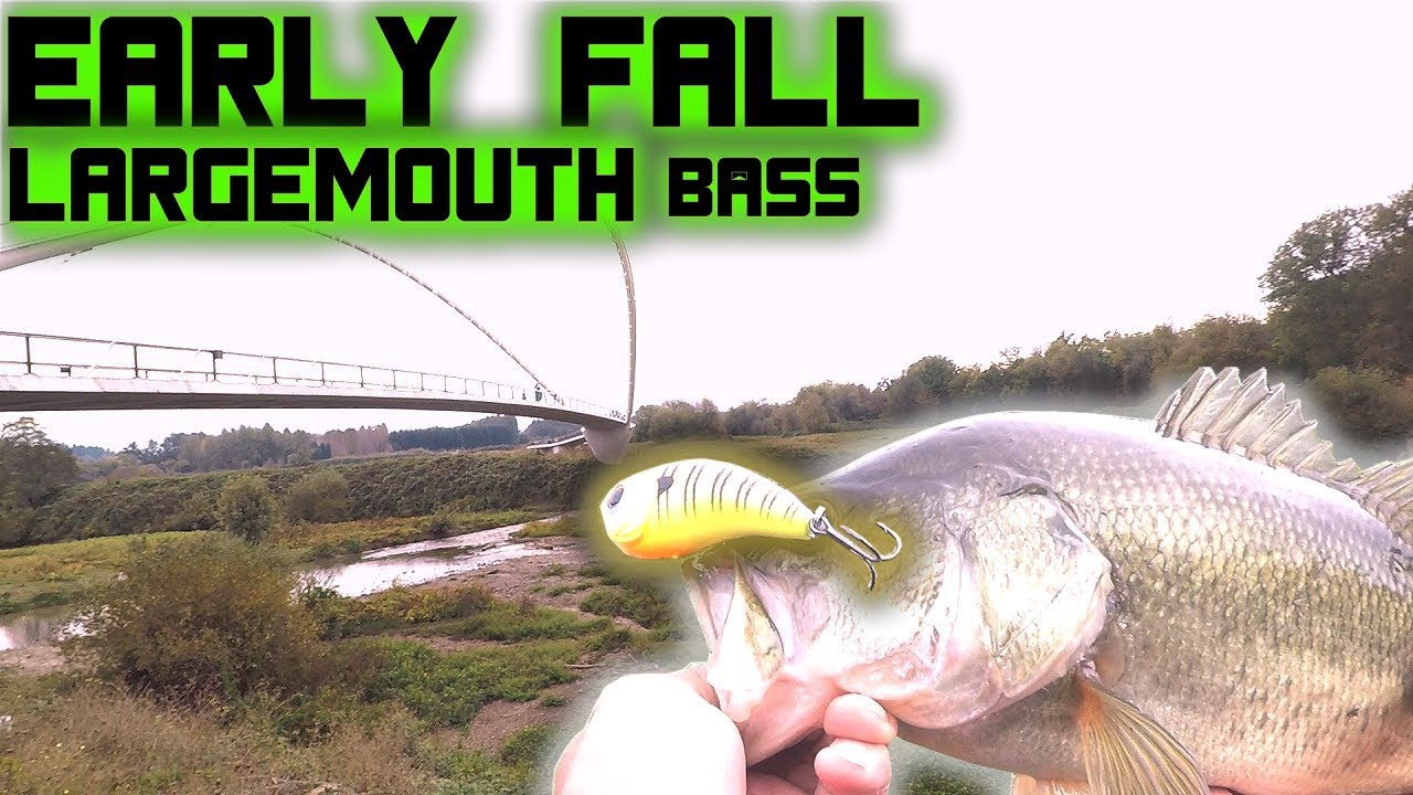 Early Fall Largemouth Bass fishing River Front Park Oregon Mutant