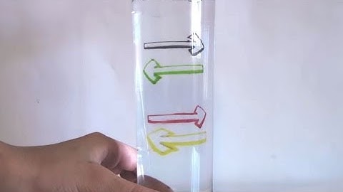 Reversing Arrows Amazing & Magic experiment