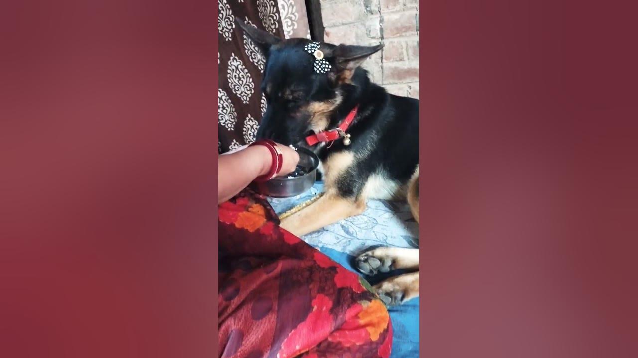 meri-maa-ke-barabar-koi-nahi-l-merapyarakanhaiya-newvideo-laddugopal