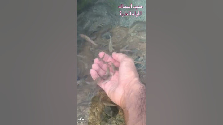 صيد أسماك المياه العذبة الصغيرة