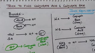 Trick to Find Conjugate Acid and Conjugate Base | Ionic Equilibrium Tricks