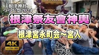 「根津神社」つつじまつり2024  根津祭友會神輿  根津宮永町会～宮入まで！迫力満点です