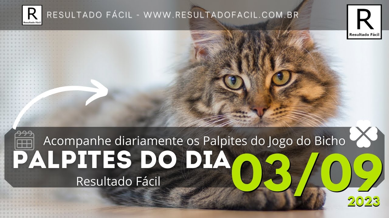 ▷ Palpites Ganhar fácil 21 de novembro 2023 jogo do bicho hoje: Rio Look  Lotep Lotece Nacional » Domiplay