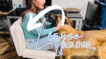 Full Review of the Leagoo Criss Cross Sitting Desk Chair! 