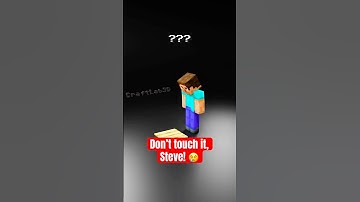 Steve vs Piston Fluid Simulation😱🧪 #Minecraft