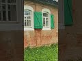 Кошка Матрешка #животные #дача #лето