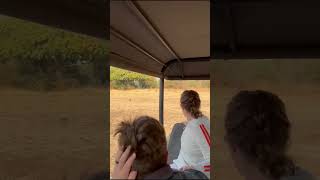 Baboons chase off leopard