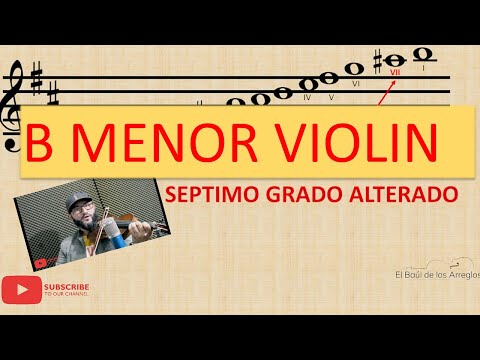 ESCALA SI MENOR ARMONICA Y MELODICA 2 OCTAVAS #violin #violinteacher #violinist