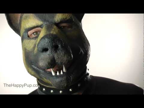 How To Choose A Human Pup Collar