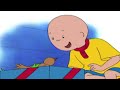 🐦 Caillou találkozik egy kis madárral 😃 | Caillou Magyarul - WildBrain