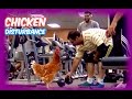 CHICKEN VS PUBLIC