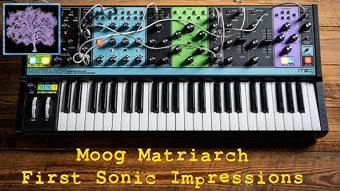 Moog Matriarch: First Sonic Impressions (The First 8 Minutes out of the box!)
