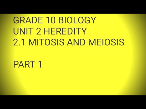ቪዲዮ: በ mitosis እና meiosis መካከል ያለው ንፅፅር ምንድነው?