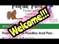Welcome navigating our facebook group padfootpoms poodles and pals