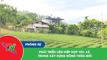 Phát triển Liên hiệp Hợp tác xã trong xây dựng nông thôn mới