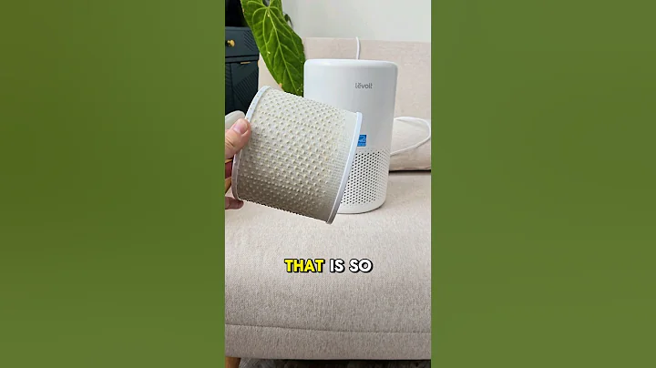 I Tried The VIRAL Air Purifier...