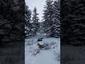 camping in the snow #snowcamp #camping #hiking #adventure #outdoors #naturehike