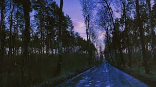 Download Lagu Shayjirit - Saqqara MP3