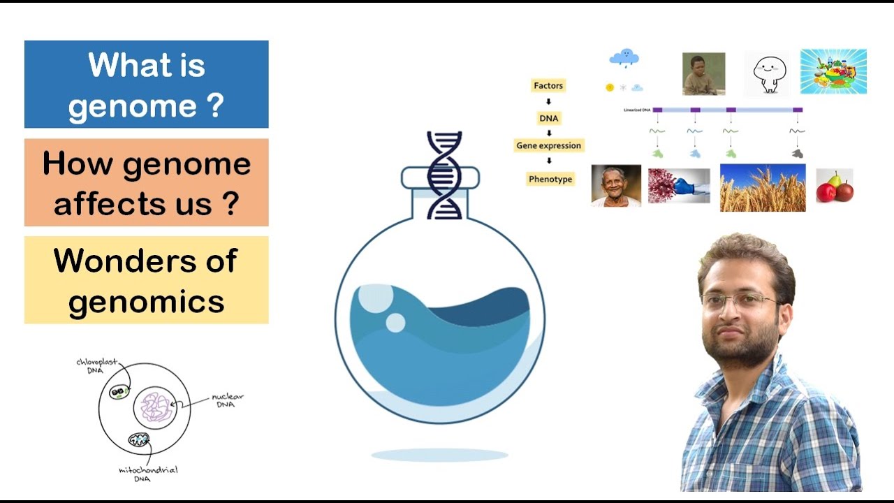 Что такое редактирование генома? - mybiology.net