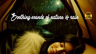 Cozy Rainy Tent Vibes: Relaxing ASMR Rain Sounds and Serene Ambience, nature, Rain Sound