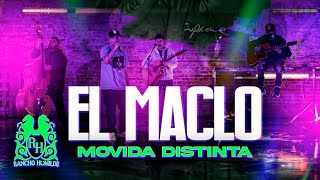 Video thumbnail of "Movida Distinta - El Maclo [En Vivo]"