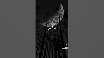يارب يارب هون وهون ثم هون اكسبلور لايك تيك توك 