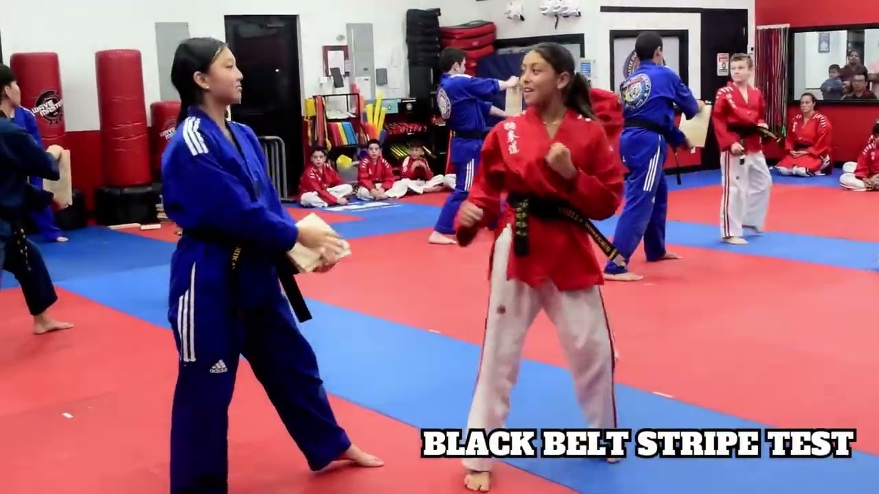 🥋 October, 2025 Black Belt Stripe Testing (Highlight Video) 🥋