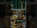 The $10K Budgeting Trick Nobody Teaches #Shorts