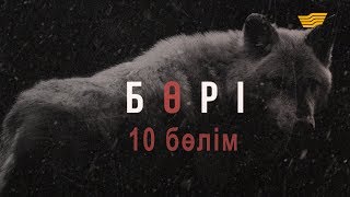 «Бөрі» 10 бөлім \ «Бори» 10 серия