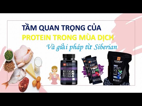 TẦM QUAN TRỌNG CỦA PROTEIN TRONG MÙA DỊCH VÀ GIẢI PHÁP TỪ SIBERIAN