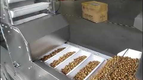 Food Auto Packing System Z Bucket Conveyor Elevator