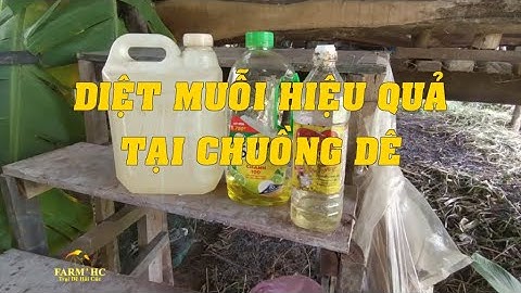 #17- HƯỚNG DẪN LÀM THUỐC DIỆT MUỖI CHUỒNG TRẠI | TỰ PHA THUỐC DIỆT CÔN TRÙNG CHO CHUỒNG DÊ