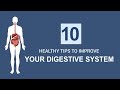 10 Ways to Improve Digestive System Naturally - Get Boost Immune System