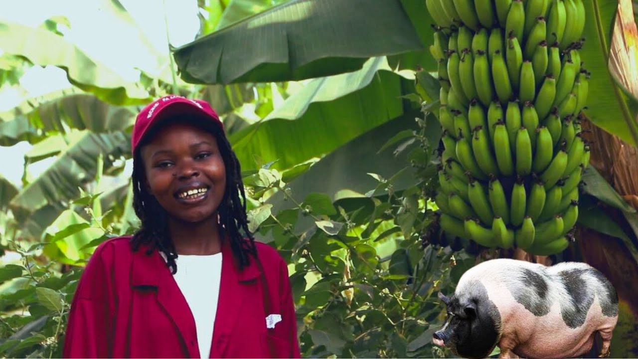 Ibanga rikomeye ryo kwitaho mu gihe winjiye mu bworozi bw'umwuga muri iki gihe!