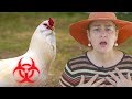 3 Chicken Viruses To Avoid: Why marek's disease in chickens is so dangerous!