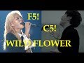 Who Sang the "Wild Flower" Climax the Best??