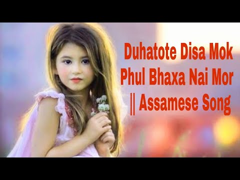 Duhatote Disa Mok Phul Bhaxa Nai Mor    Assamese Song