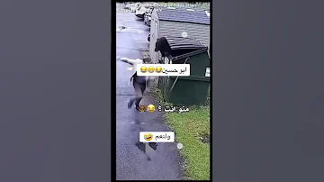 منو انته ابو حسين 